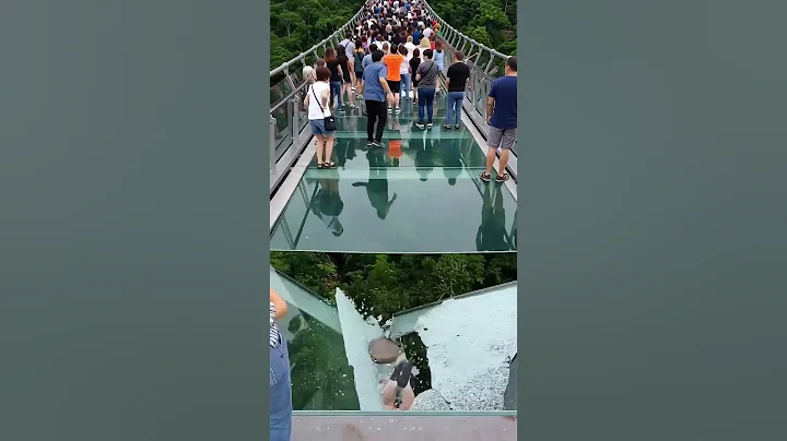 Imagine being on this glass bridge when it starts to collapse… 😨⚠️ AI-generated simulation — Th