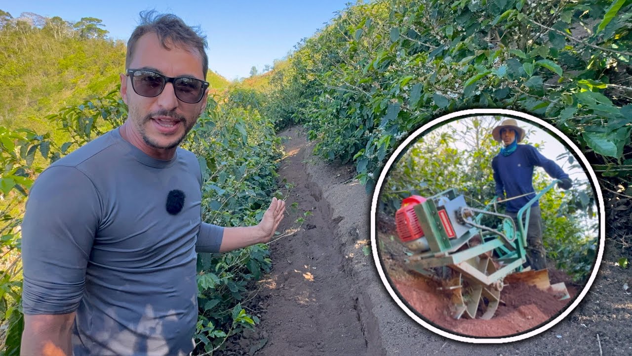 Terraceamento No Capricho: O Poder do Burrinho Mecânico!