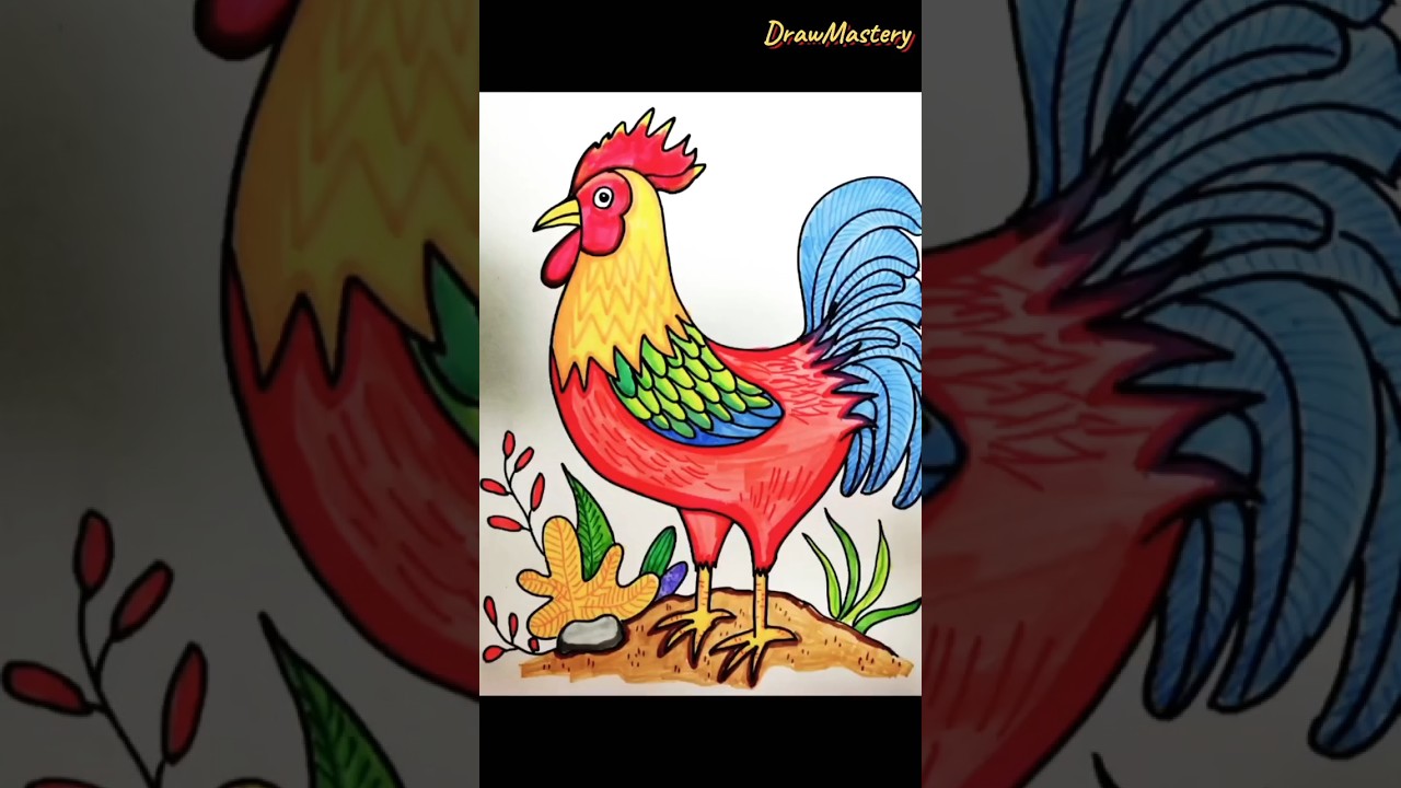 how to draw a cock🐓🐓🐓