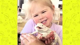 Hilarious Animal Videos To Start 2025 Off Right