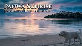 1 Hour Relaxing Sunrise on Panwa Beach (with a Giant Gentle Dog) — Phuket Calm Sea ASMR (4K) screenshot 4