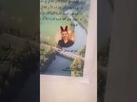 البنت زي الولد مش كماله عدد رساله الدكتوراه جامعه اسكندريه  المراه اكسبلور تيك توك