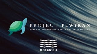 Project Pawikan Oceans 4