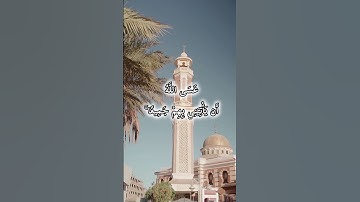 فصبر جميل 🤍 سورة يوسف