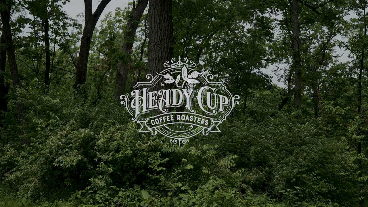 Heady Cup Coffee Roasters - Why drink Mushroom Coffee?