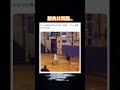 イキってダンクするから… #shorts#tiktok#Twitter#おもしろ#お笑い#おすすめ#バスケ #バスケットボール #ダンク #面白い#おもしろ動画#爆笑#バズれ