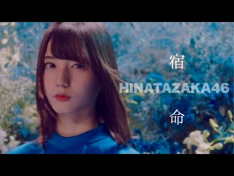 【MAD】日向坂46×Official髭男dism「宿命」covered by 財部亮治