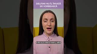 Nu există terapii minune: adevărul despre cum învață copilul să vorbească