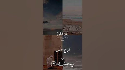 قراءه هادئه لما تيسر من سوره الانعام