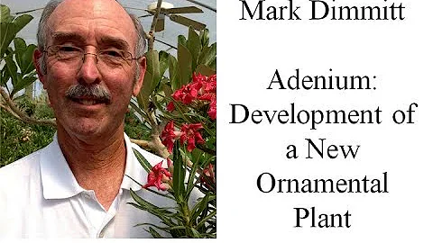 Mark Dimmitt "Adenium: Development of a New Orname...