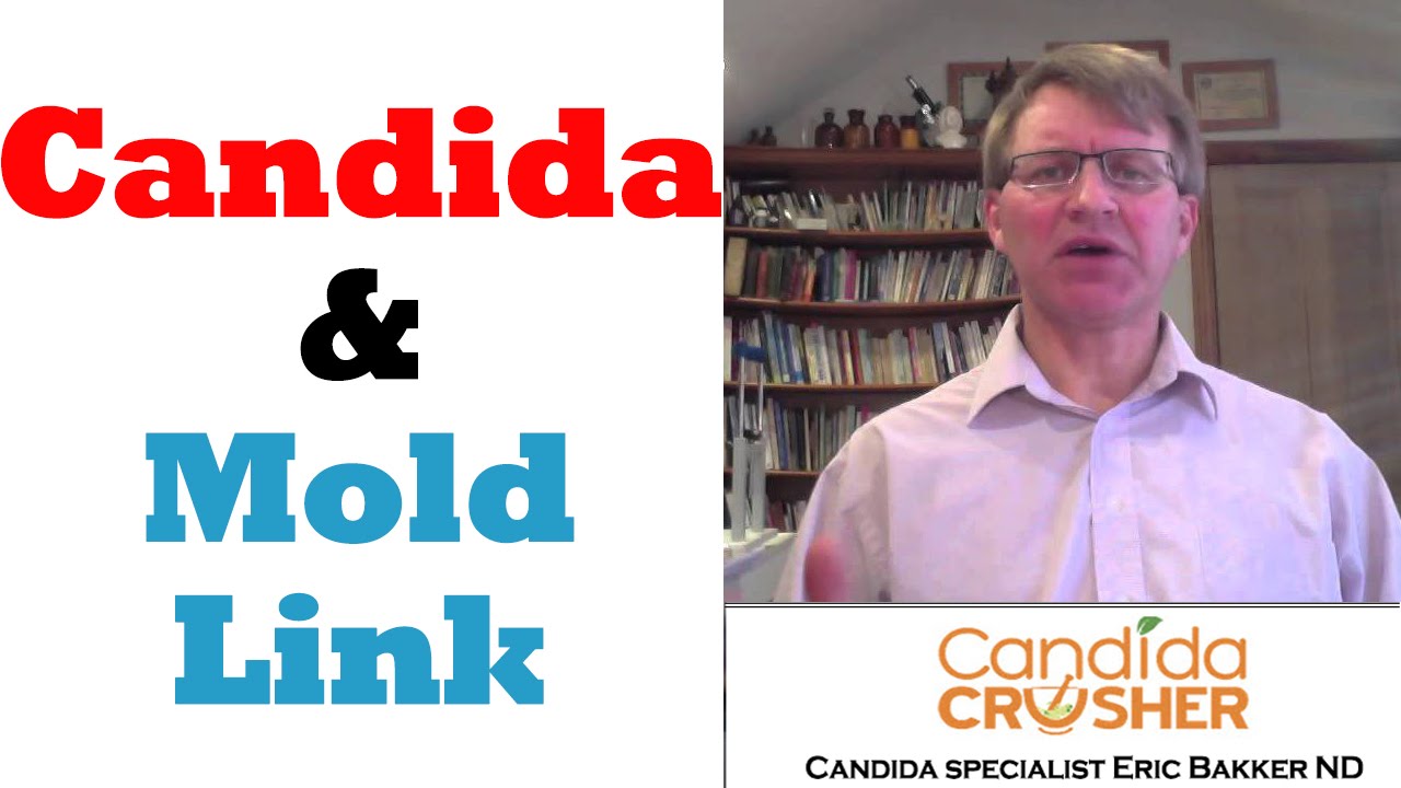 Candida Mold Connection Do You Have Mold In Your Environment? YouTube