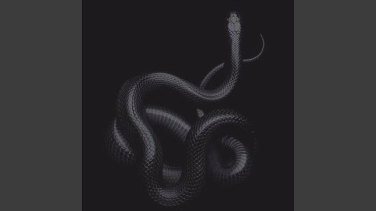 Snake Shit - YouTube