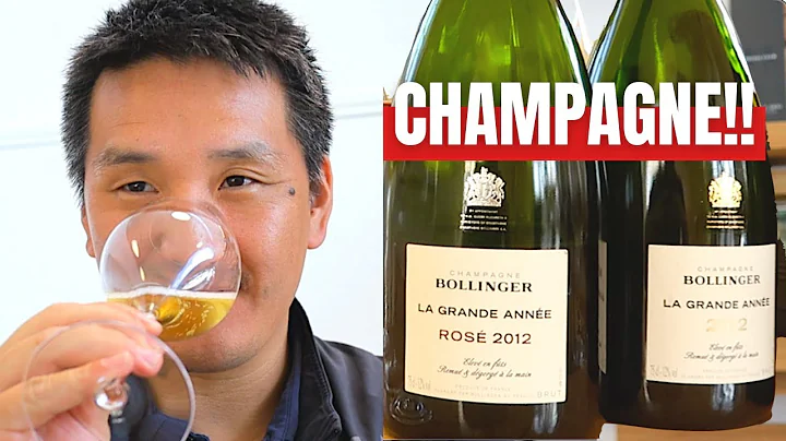 What makes Champagne, CHAMPAGNE!!?? A Journey through the region