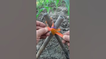 What is an odd pehaviour of yours you think only you do?#askreddit#reddit #story