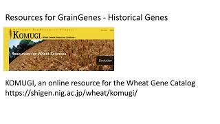 Komugi Wheat Gene Catalog Tutorial