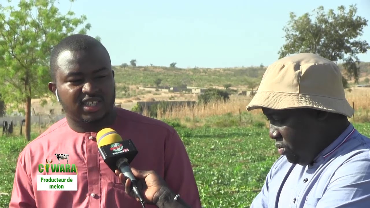 CIWARA PRODUCTION DE MELON NOV 2020 PART 01