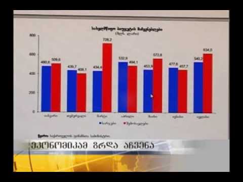 ვარდნის შემდეგ ეკონომიკამ ზრდა დაიწყო