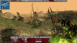 WH40K Dawn of War - Dark Crusade | Eldar campaign gameplay #14 Rhean Jungle - EN
