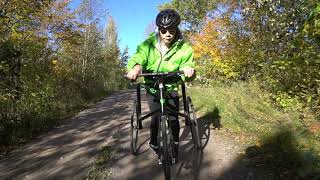Wisp racerunner