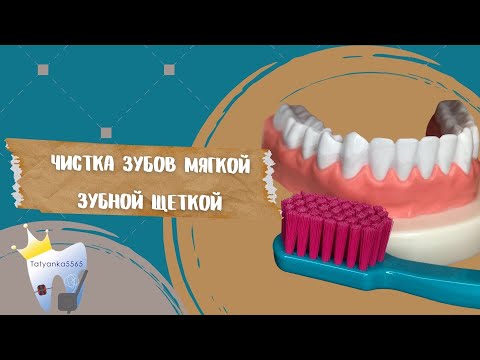 Техника чистки зубов мягкой зубной щеткой. Методика Bass.