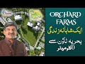 Bahria orchard rawalpindi  bahria town phase 8  farm house for sale  advice associates