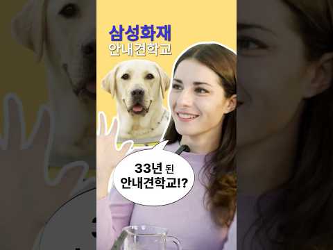 ☆<strong>삼성화재</strong> 안내견학교☆