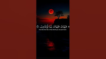 هيهات هيهات لما توعدون #ياسر الدوسري #سورة_المؤمنون #قرآن #اكسبلور #listen #اسمعنا #استمع #اكتب شيء