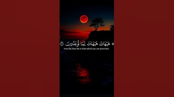 هيهات هيهات لما توعدون #ياسر الدوسري #سورة_المؤمنون #قرآن #اكسبلور #listen #اسمعنا #استمع #اكتب شيء