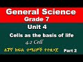 Grade7 General Science Unit 4 Part 2 Cells As The Basis Of Life Cell
