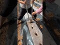 Artificially digging holes and directly drilling and planting in one step have greatly imp#3a78c