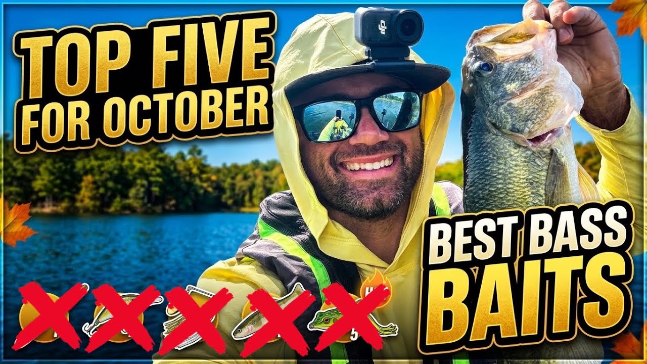 October Bass Fishing: 5 Baits You MUST Throw Right Now