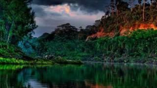 Midway - Amazon Ferry Tayle & Stephan R 2009 Universal Language Remix Hq