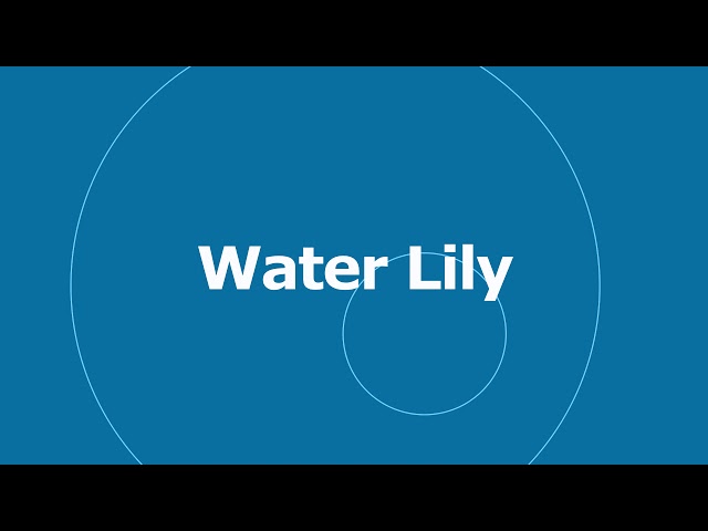 🎵 Water Lily - The 126ers 🎧 No Copyright Music 🎶 YouTube Audio Library class=