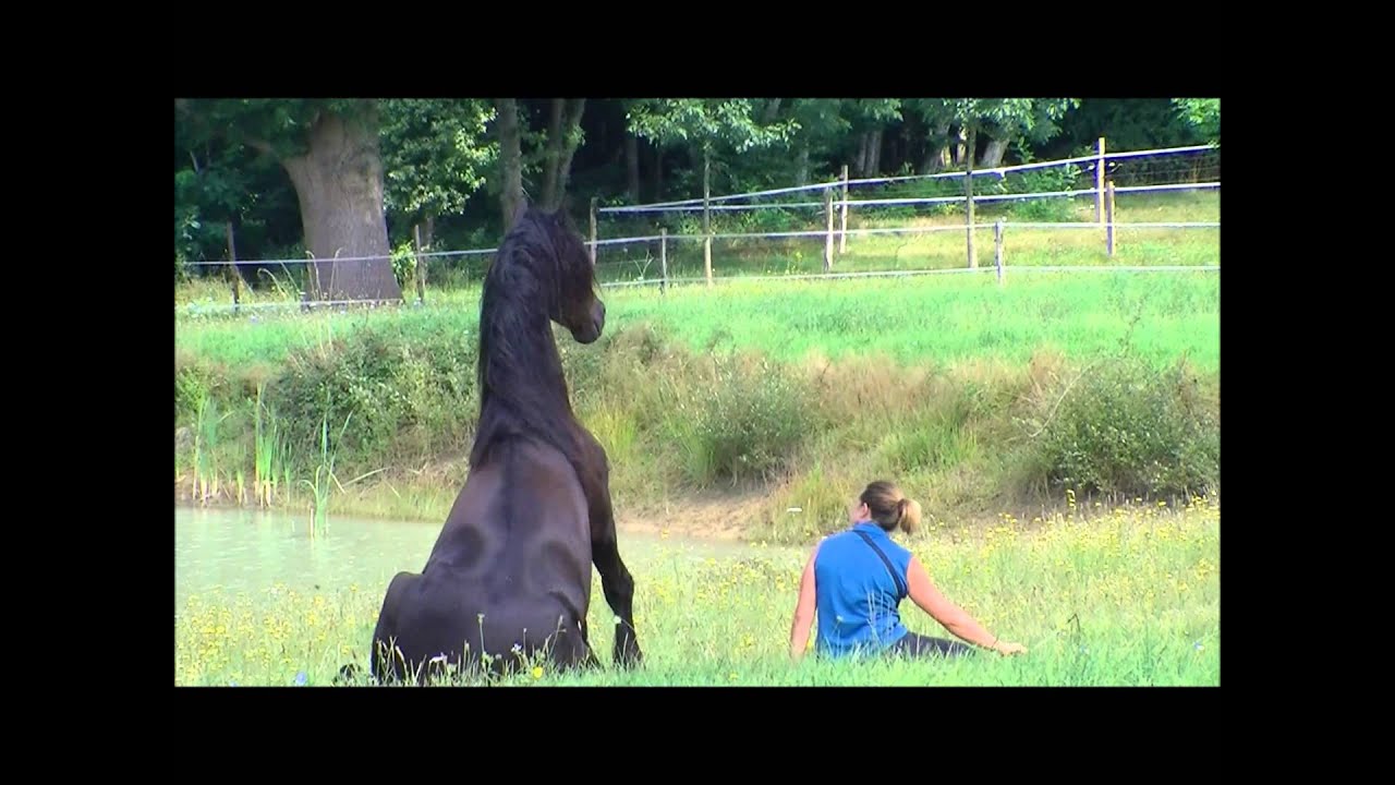 Tattoo, 4 ans déjà...