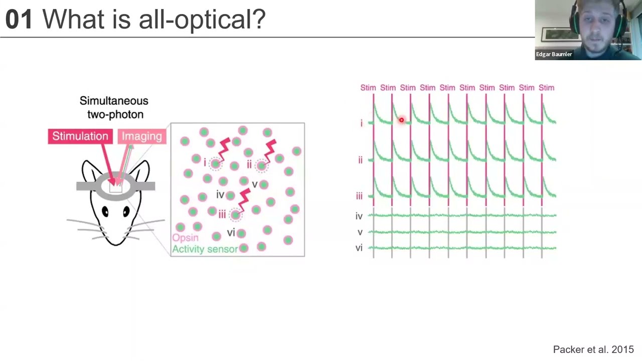 8th FNIP webinar|2nd speaker|Dr. E.Blaumer: Advanced optical approaches for neural activity patterns