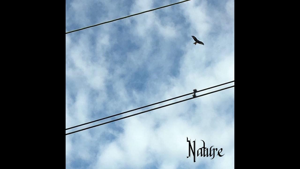 Nature Near me YouTube