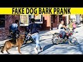 Fake Dog Bark Prank | Prank in Pakistan | Lahori PrankStar