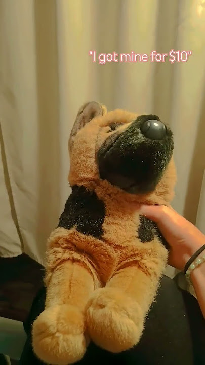 HOW Y'ALL GETTING DOUGLAS FOR $10?! #douglas #duet #essa #emotionalsupportstuffedanimal #cute