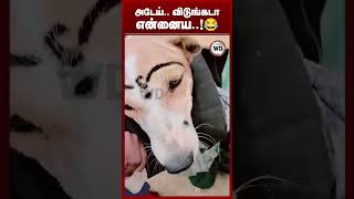 அடேய்.. விடுங்கடா என்னைய..!????
