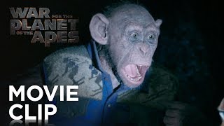 War for the Planet of the Apes | \\