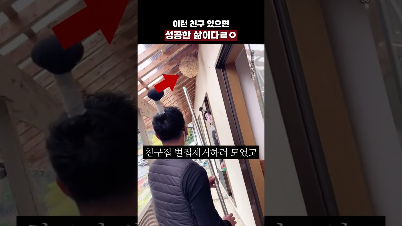 이런 친구 있으면 성공한거임ㄹㅇ