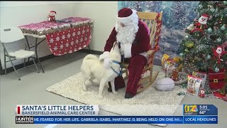 Santa takes photos with pets at Bakersfield Animal Care Center