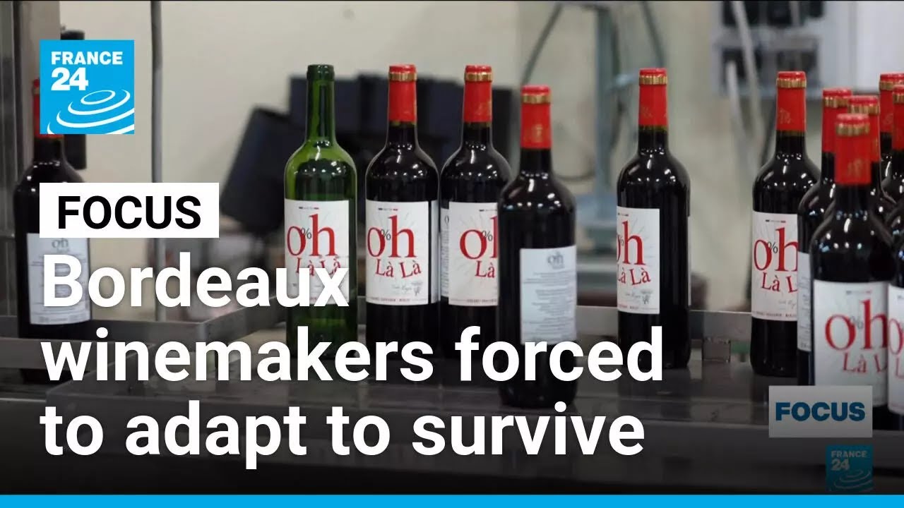 Winemakers of France's Bordeaux region forced to adapt to survive • FRANCE 24 English