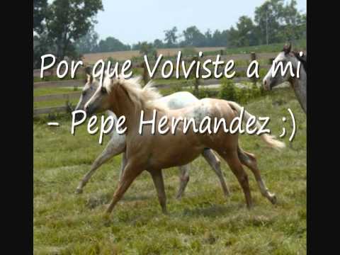 Por que volviste