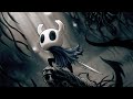 Hollow Knight