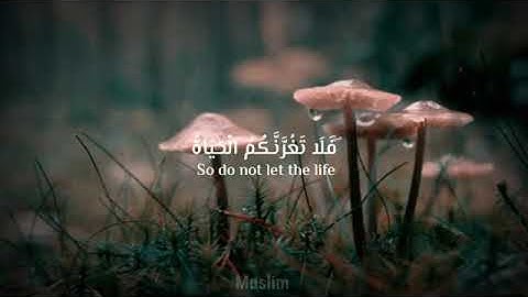 حالات واتس اب  ان وعد الله حق  القرآن الكريم راحه نفسيه