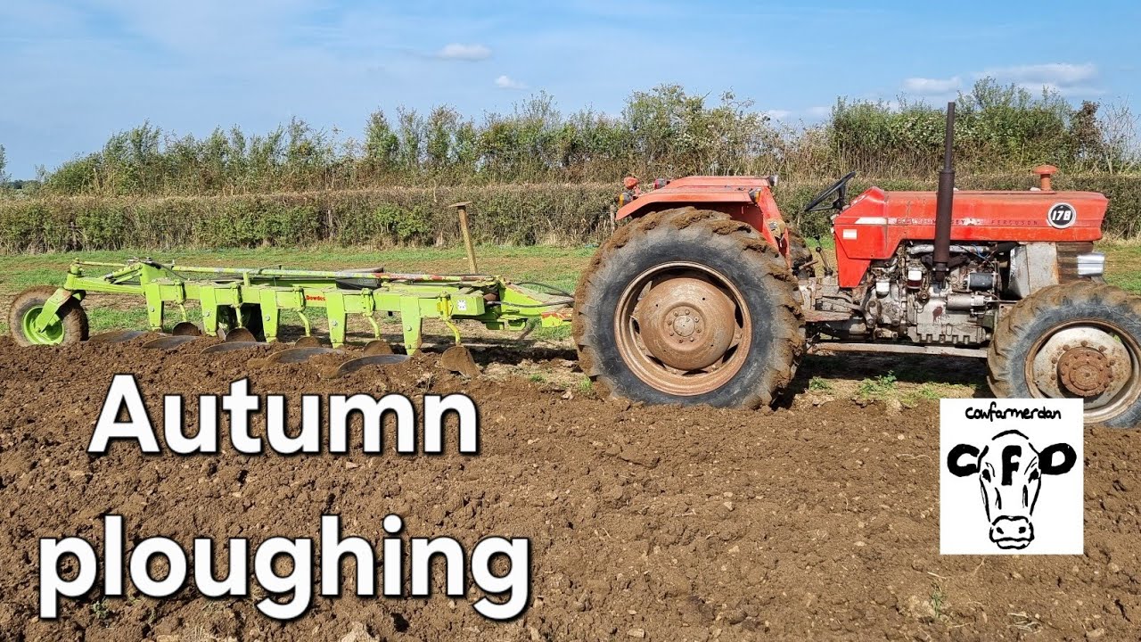 Четверг урожая. Massey Ferguson 178 и плуг Dowdeswell.
