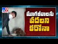 After a horse, officials quarantined a dog in Jammu and Kashmir!