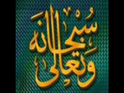 أنك لا تهدى الاحبه