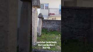 Vezirler Şehri Travnik’te her yer Kallâvi Kavuk